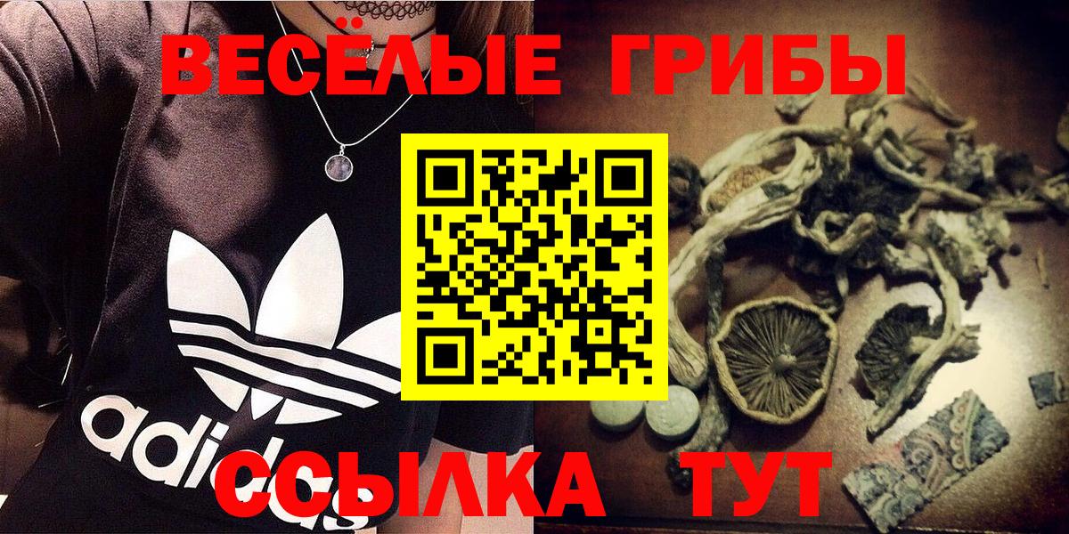магазин продажи наркотиков  Псилоцибиновые грибы GOLDEN TEACHER  Новоалександровск  Вход с VPN  Псилоцибиновые грибы мицелий 