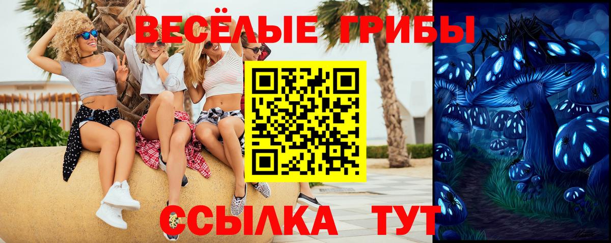 Галлюциногенные грибы MAGIC MUSHROOMS Новоалександровск